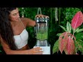 Nama C2 Juicer + Blender Review 🌱 Is it WORTH It?...How Does It Compare?