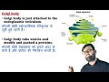 Human Cell In Hindi | मानव कोशिका | Structure of Cell | Cell The Unit Of Life | Cell Organelles |