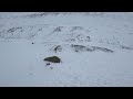 Backcountry Skiing Trollsteinen, Longyearbyen, Svalbard 2024-03-26