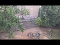 Summer Rain 🌧 in Germany