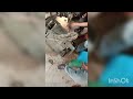 generator alternator repair work #stator#rotor#shaft#karbon#engineering #youtubevideo #bangladesh