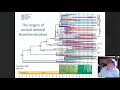 The Cambrian Explosion and the evolutionary origin of animals with Professor Paul Smith