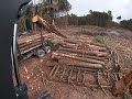 Logging with a 437D John Deere