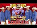 Dueto Bertin y Lalo Vs Los Armadillos De La Sierra 🎸 Las Mejores Corridos Guitarras 🎸 Corridos Mix