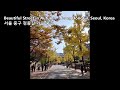 Relaxing Autumn View with Piano music 서울 정동길 가을 거리 풍경
