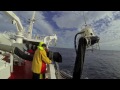 Mackerel Fishing in The North Sea September 2013