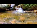 3 часа - Успокаивающий звук ручья. Лесной ручей, Звуки природы. Шум воды. Горный ручей. Релакс