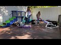 Toy Aussie puppies playing together at Lindsey’s Aussies