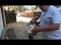 How to Fix a Nail Gun!