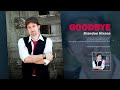 Goodbye (Official Audio) - Brandon Hixson (2008)