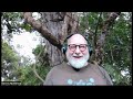 Ep.120 — Dennis McKenna—Rebooting Yourself with Psychedelics