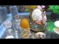 Perfect Size Aquarium | 3 Gallon Glass Fish Tank | Top Fin PetSmart