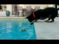 Dexter's pool ball