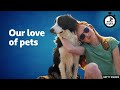 Our love of pets ⏲️ 6 Minute English