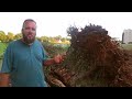 Mini Excavator vs Massive Stumps - Kubota U35