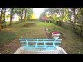 July 31,2024 Hummingbird birdcam