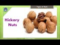 Different types of nuts | Types of Nuts | Nuts Vocabulary in English | 50 - Types Of Nuts | Nuts