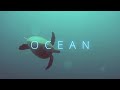 Ocean | Original music by Kevin Johnson, video by The Cue Tube [#thecuetube]