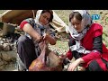 طرز تهیه دوغ ومسکه وطنی در ایلاق  Nomadic lifestyle in Afghanistan