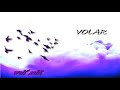 Wolf Solit - 3. Volar ~ Esencia