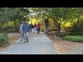 Princeton University Campus Tour | Fall Ambience and streets sounds 4K