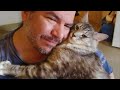 Cats are not as aloof as you might think - Cute Cat Show Love 😻