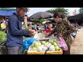 Harvest Jackfruit Garden bring to the market to sell - Feed the pigs - Vàng Hoa