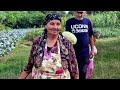 Fried Cabbage. Cooking Meat with Vegetables on Saj.