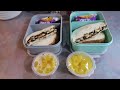 What’s in my Kids Lunchbox | Lunch Ideas for School | March 2024