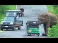 World Most heartbreaking encounter Elephant Attack To Three Wheelers In 2024