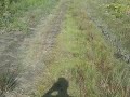 Trail Run Myakka, Florida