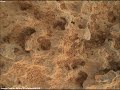 MAHLI in action at Shaler on sol 323