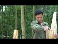 Move to a new place of residence, Build a wooden pig house - Build a house in the forest - Mạnh Lưu