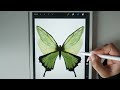 Procreate Drawing for Beginners | Realistic Butterfly iPad illustration - Digital Art Tutorial
