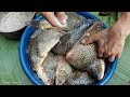 Carp harvesting, Smoked fish making process,  Enough to eat all year round.1 year of living off-grid