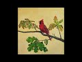 Folkknot - All Good Things (Full Album)