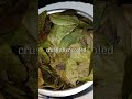 Always fresh curry leaves /how to keep curry leaf /ആവശ്യം കഴിഞ്ഞാൽ കളയുന്ന ചീത്തപ്പേര് മാറ്റാം