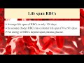Blood Anatomy And Physiology In Hindi || Red Blood Cells || Erythropoiesis Physiology In Urdu