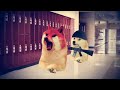 doge school shooting demo v2.0