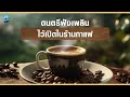 Coffee Playlist | ดนตรีฟังเพลิน ไว้เปิดในร้านกาแฟ