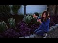 Planting a New Flowerbed // Garden Answer