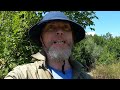 Metal Detecting Switzerland Ten Hole Live Dig Plus A Bonus Find With Minelab Manticore