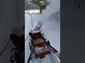 2-25-2023 Gravely L snowblowing