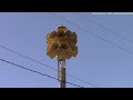 FS 2T22 Siren Test -- 2/17/24 -- Attack -- McCallsburg, IA