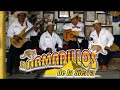 Los Armadillos de la Sierra - Lo mas Picudo de la Sierra