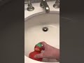 strawberry duck goes for a swim