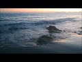 Закат Атлантический Океан Португалия / Sunset over Atlantic Ocean to Relax