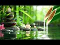 Peaceful Nature Music - Healing Music, Bamboo Music, Study & Relaxation Music, Nature Sounds