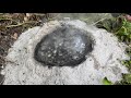 Massive Aluminum Anthill Casting #19