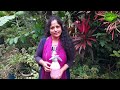 ഒരു നുള്ള് ഉപ്പും പുളിയും മതി കറിവേപ്പ് തഴച്ചു വളരാൻ! | Curry leaves PLANT BOOSTER tips Malayalam